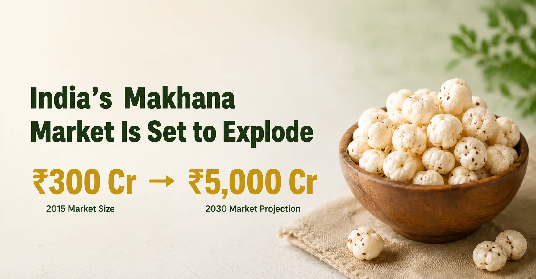 One Indian State Grows Almost 90% of the World's Makhana